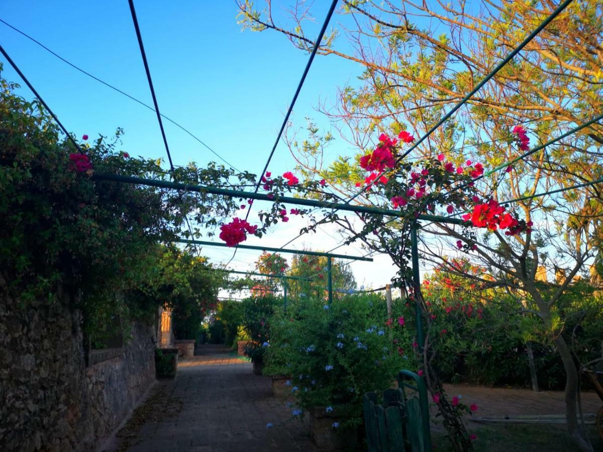 Villa Masseria Provenzani Trepuzzi Exterior foto